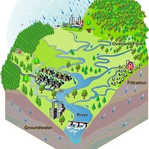 Team Page: Watershed Warriors